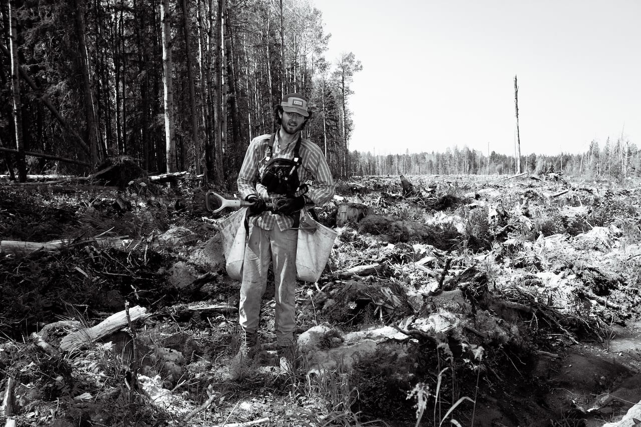 A man walks with a shovel through a clear cut.