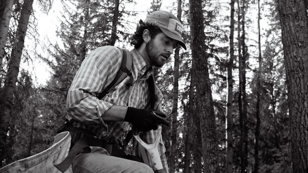 Tree planting started as a summer job, but it also taught me what it means to be Canadian