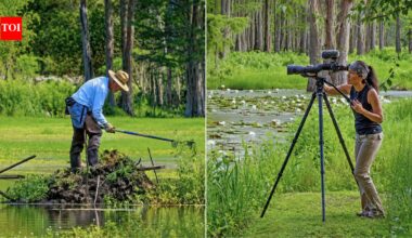 A Florida couple bought a 45-acre swamp to protect it from development; 15 years later, 275 wood storks were nesting there in a thriving ecosystem filled with wildlife | World News