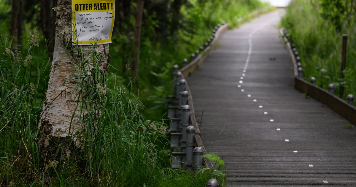 Fish and Game issues river otter alert after 2 attacks along Anchorage waterways