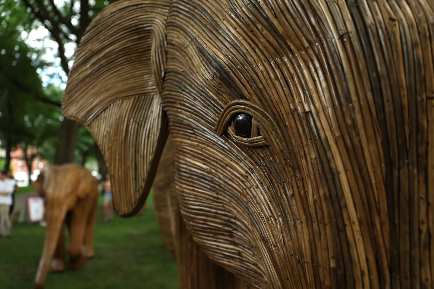 The 130 life-size elephant sculptures are handcrafted by Indigenous artisans from India's Nilgiri Biosphere Reserve.