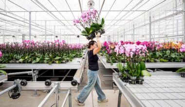 IN PHOTOS | New wave of U.S. tariffs threatens these Canadian companies