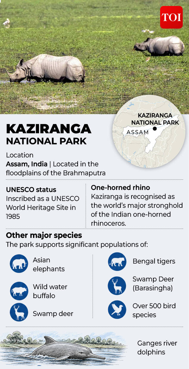Kaziranga is recognised as the world's major stronghold of the Indian one-horned rhinoceros. Kaziranga national park