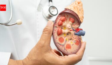 Chronic stress is more than a mental health problem: How it can raise blood pressure and put your kidneys at risk