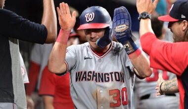 Nationals outfielder does his best Spider-Man impression for one of baseball's best catches of the year