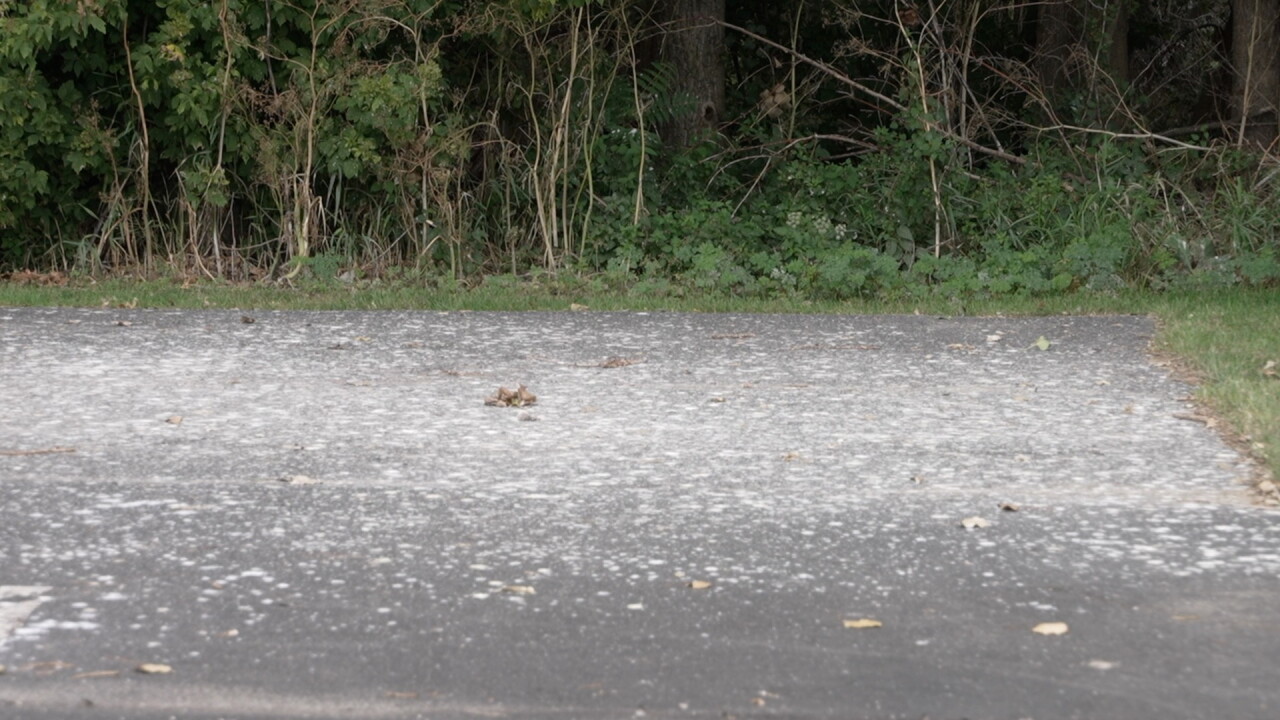 PARKING LOT.jpg