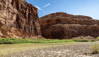 A costly invasive species appears to have made it to Utah's Colorado River segment
