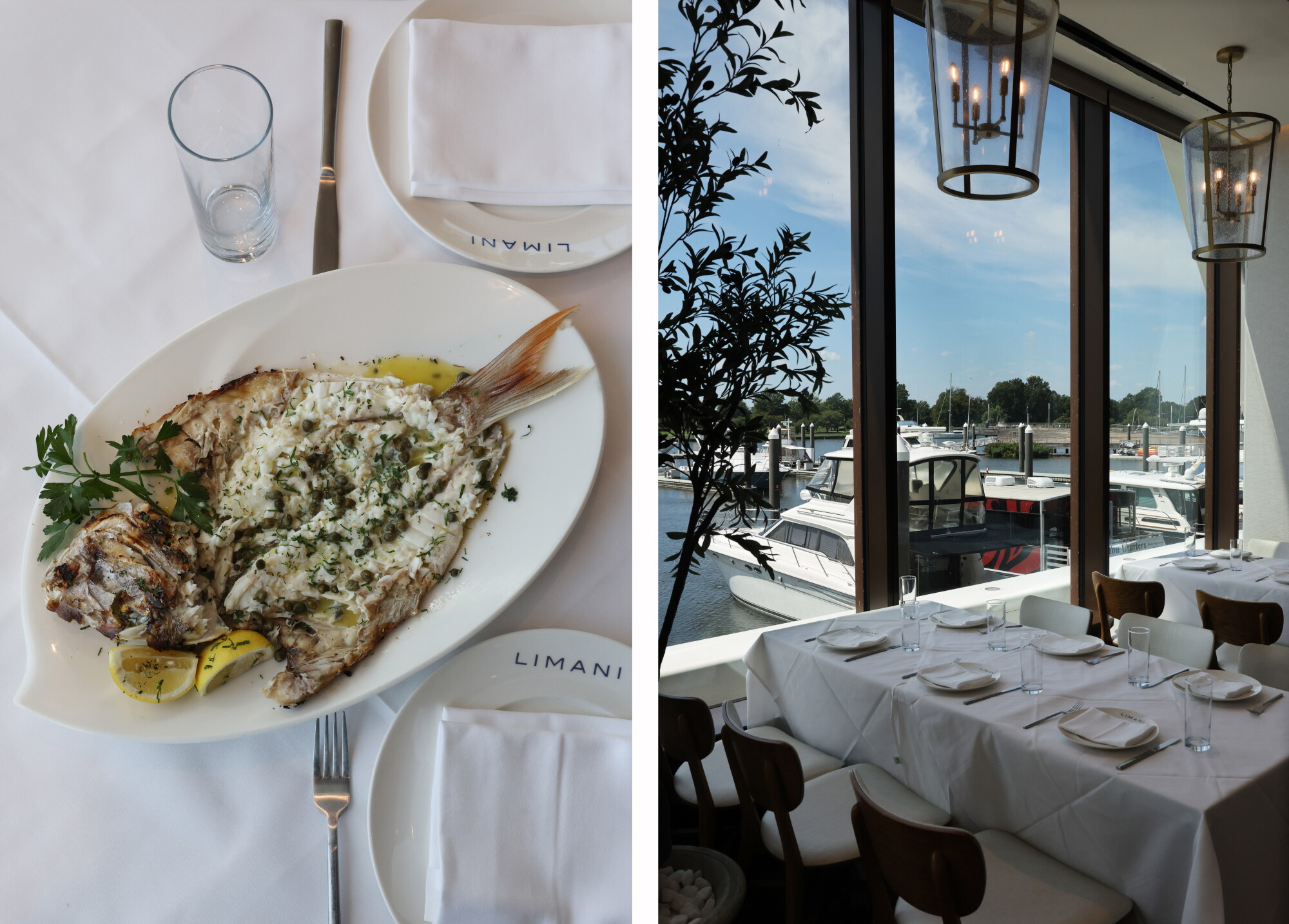 A plate of cooked fish with capers and lemon, and view out the window of The Wharf.