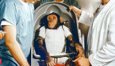 In 1961, NASA sent Ham the chimpanzee 157 miles above Earth to test whether a primate could work in space; he completed a 16-minute flight and returned safely
