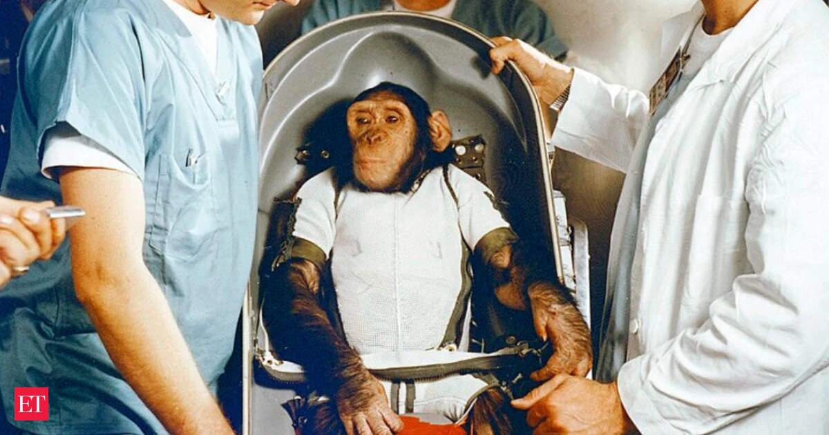 In 1961, NASA sent Ham the chimpanzee 157 miles above Earth to test whether a primate could work in space; he completed a 16-minute flight and returned safely