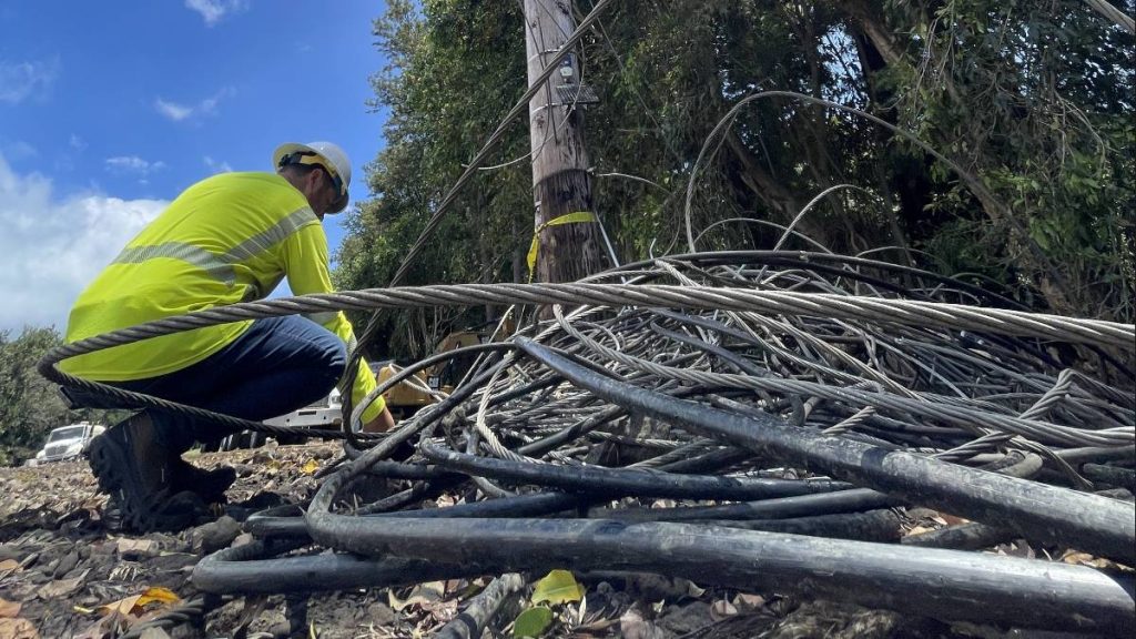 What you need to know about Hurricane Lala recovery: Hawaiian Electric says only 600 customers still left without power : Big Island Now