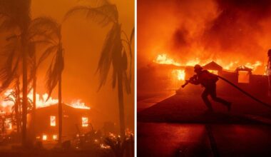 Senators urge halt to wildfire betting markets after more than $1.2M in bets were placed during Palisades and Eaton fires