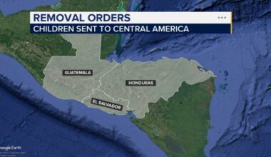 Chicago immigration judge orders removal of 6 children as green card applications remain pending as Trump crackdown continues