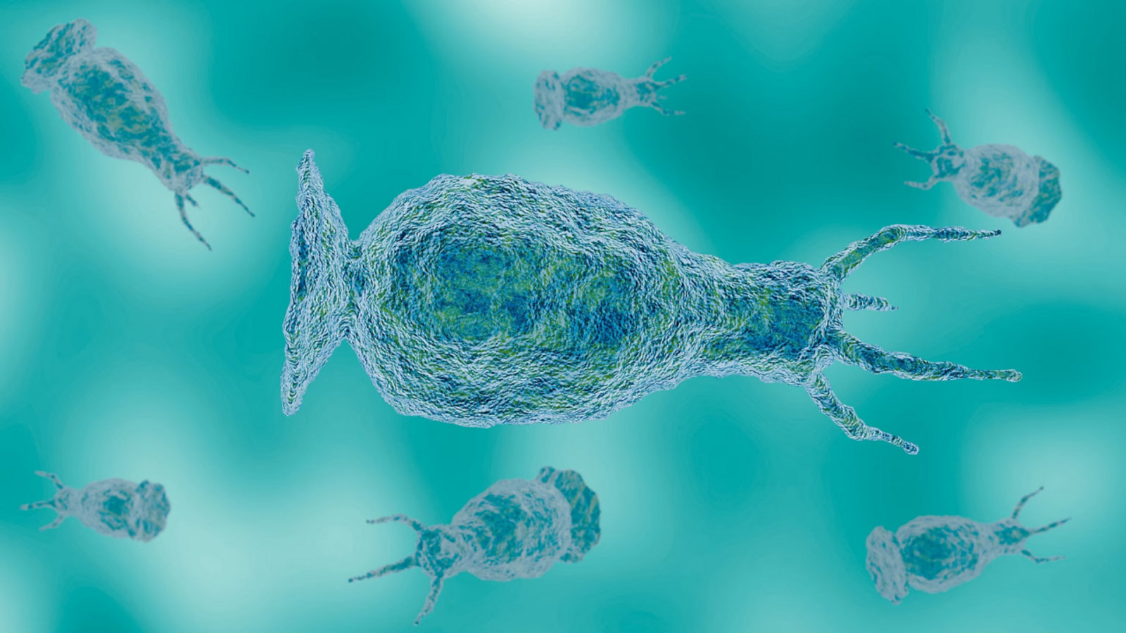 North Carolina teen critically ill from rare brain-eating amoeba found in freshwater, officials say