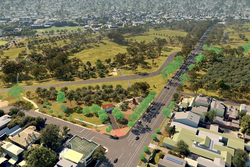 An image from above showing city streets and trees with houses in the background