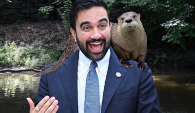 Dems credit Mamdani with otter's return to NYC, but experts cry foul