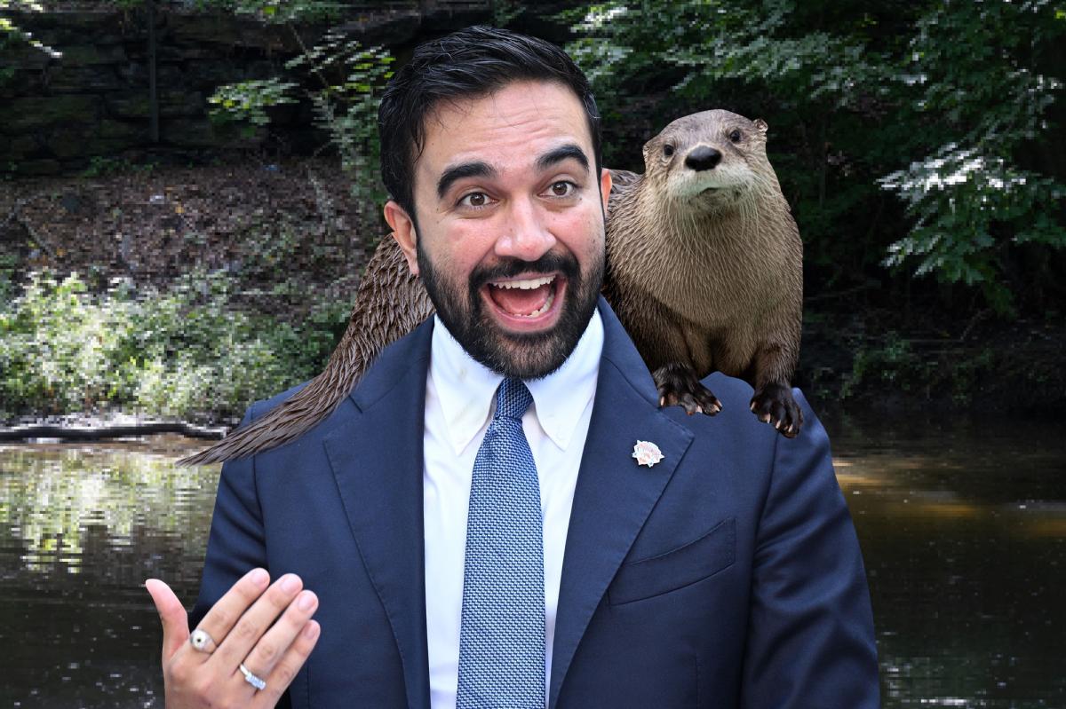 Dems credit Mamdani with otter's return to NYC, but experts cry foul