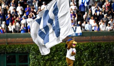 Cubs, Nationals in Trademark Fight with WNBA Over ‘The W’