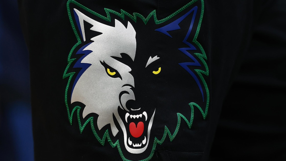 Marc Stad Buys Majority Stake in T-Wolves, Lynx at $4.5B Valuation in Deal with Marc Lore