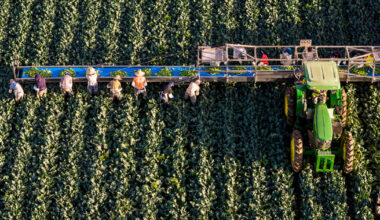 Colorado River water cuts are coming to Arizona. What will happen to America’s salads?