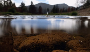 Opinion | New technologies can conserve the Colorado River