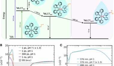 Electronic and solvent reorganization in proton-coupled electron transfer captured by ultrafast X-rays