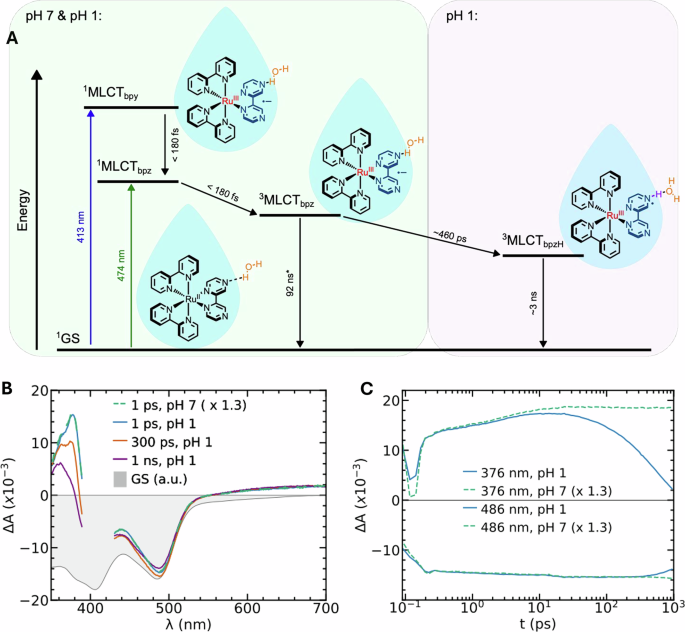Electronic and solvent reorganization in proton-coupled electron transfer captured by ultrafast X-rays