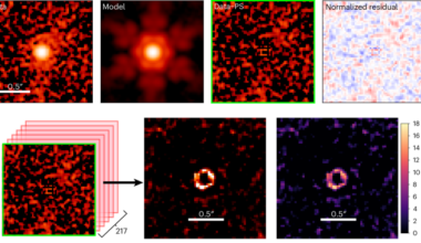 Extended components of little red dots in the rest-frame optical