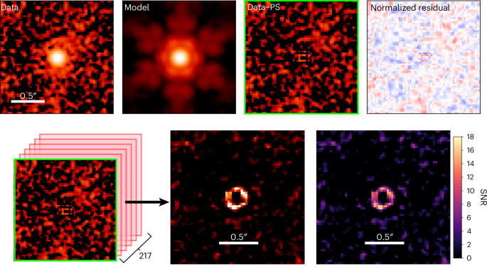 Extended components of little red dots in the rest-frame optical