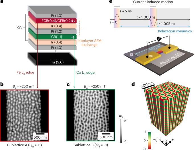 Time-resolved imaging of antiferromagnetic skyrmion interactions