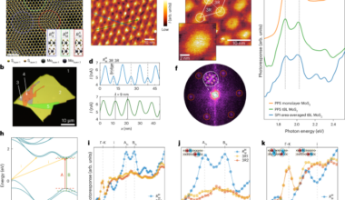 Real-space imaging of moiré-confined excitons in twisted bilayer MoS2
