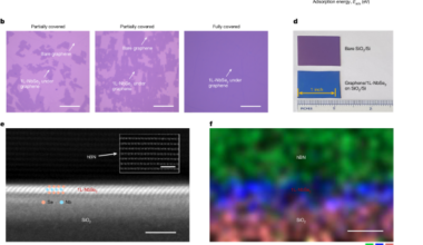 Encapsulation epitaxy of air-stable 2D superconductors for quantum circuits