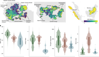 Heterogeneous climatic controls on tropical-forest biomass