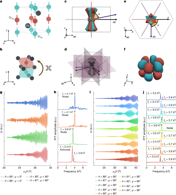 3D bulk-resolved g-wave altermagnetic order parameter in CrSb