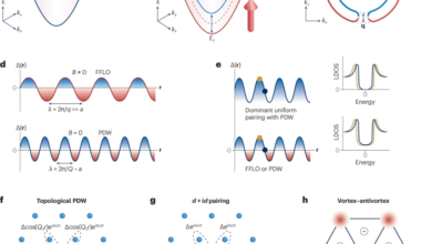 Topological pair density waves in kagome superconductors