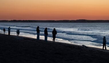 Study in Saco Bay aims to fill data gaps about juvenile white sharks