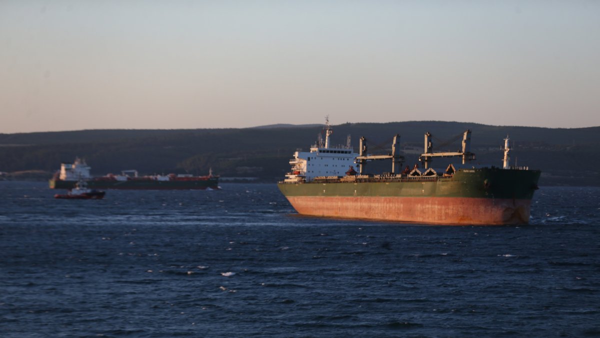 Türkiye's trade gap widens 26% despite best June exports ever
