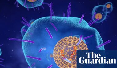 Shingles vaccine linked to lower risk of heart attack and stroke, study finds | Medical research
