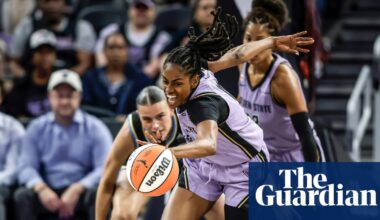 The men claiming to defend women’s sports are throwing sex toys at female athletes | WNBA