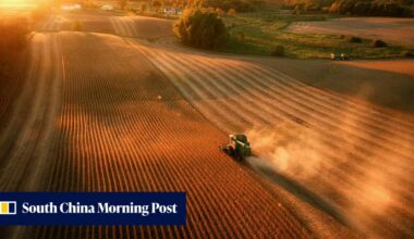 China buys at least 10 more cargoes of US soybeans, traders say