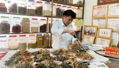 Việt Nam needs a strategy to develop a workforce of traditional medicine practitioners