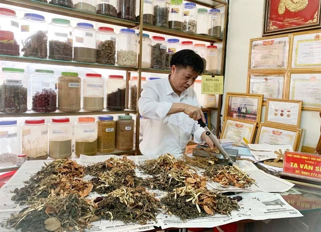 Việt Nam needs a strategy to develop a workforce of traditional medicine practitioners