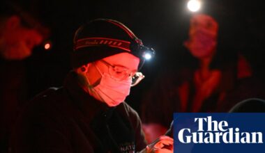 How do you vaccinate 1,000 tiny penguins against bird flu in the wild? It’s ‘really tricky’ but there is a way | Bird flu