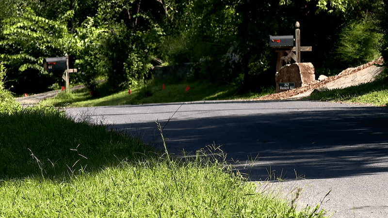 AUG. 19, 2026 - A North Asheville resident is recovering after a close encounter with a black bear Tuesday night, according to responding agencies. The victim suffered non-life-threatening injuries. The incident happened around 8:30 p.m. on Spooks Branch Road. (Photo credit: WLOS Staff)