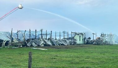 Cows escape Lebanon County, Pa. barn before fire leaves it gutted, chief says