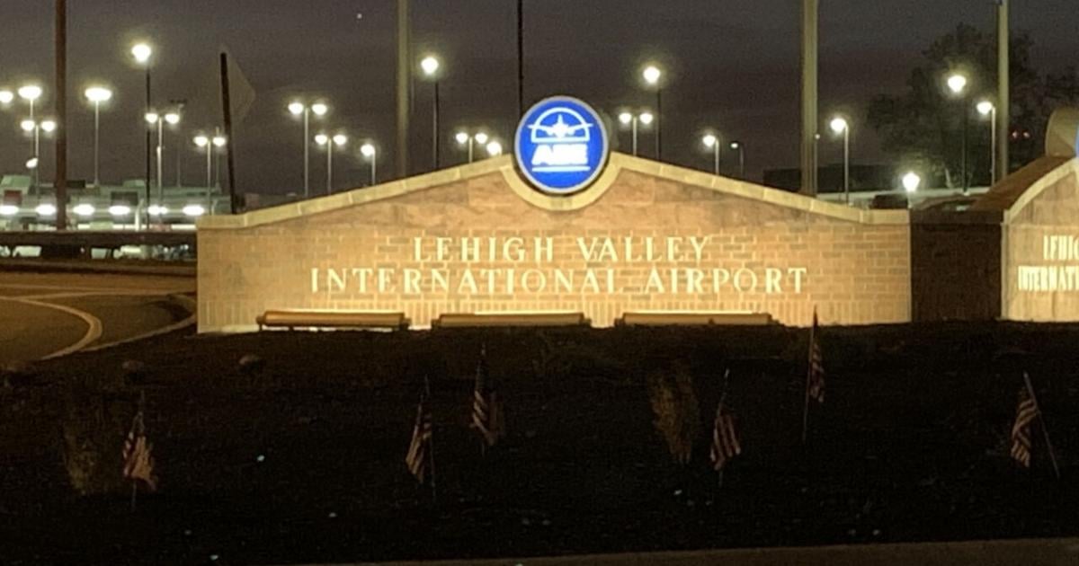 Airplane carrying 'Party Animals' players struck by lightning on way to Lehigh Valley airport, lands safely | Allentown Area