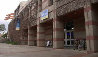 UCLA adds three design media arts majors