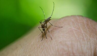 First human case of West Nile Virus confirmed in Cache County | News