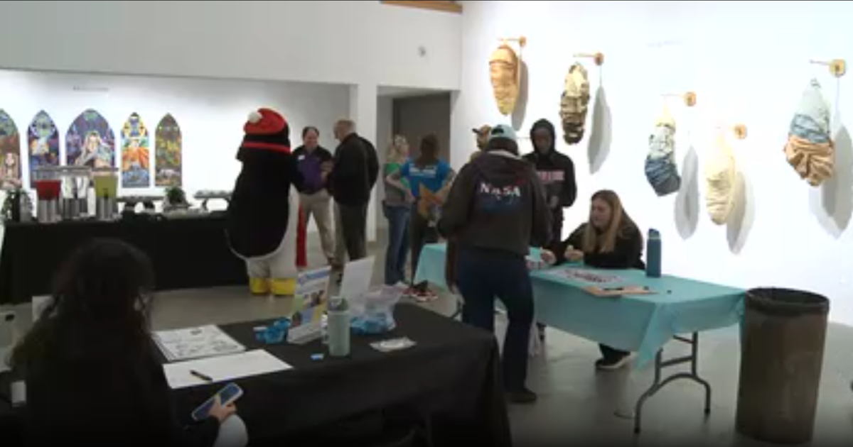 McDonough Museum of Art receives over $12,000 in grants from state | Youngstown News