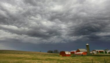 Economic Pulse: As losses deepen, action needed to help stabilize the ag economy – Shaw Local